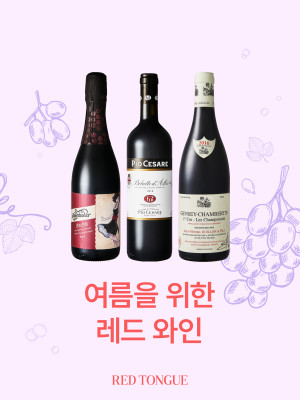 250724_여름을 위한 레드와인