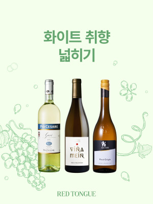 250718_화이트 취향 넓히기